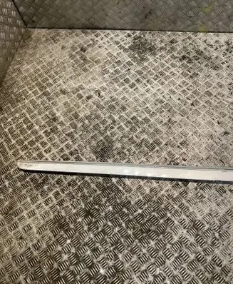 Mercedes-Benz B W245 Front door trim (molding) A1696983562 1696983562