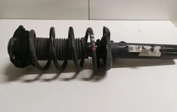 Volkswagen Eos Front shock absorber/damper 1T0413031
