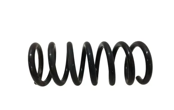 Rear coil spring