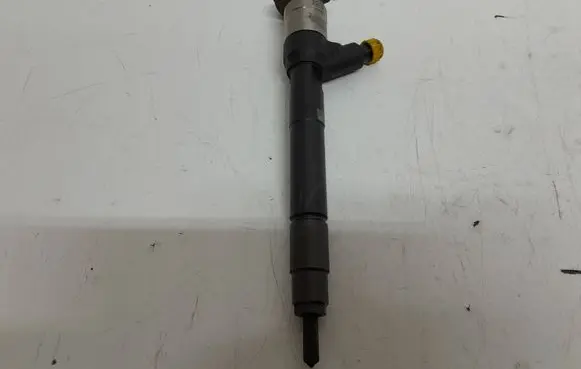 Opel Insignia A Fuel injector 55570012