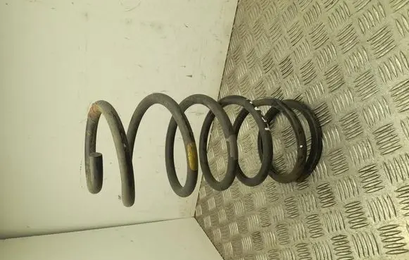 Rear coil spring