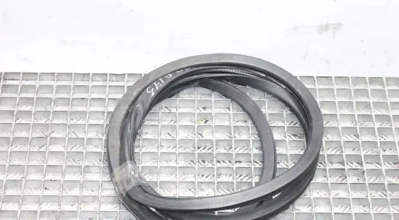 Volkswagen Phaeton Rubber seal front coupe door 