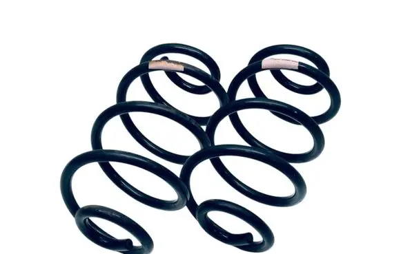 Rear coil spring