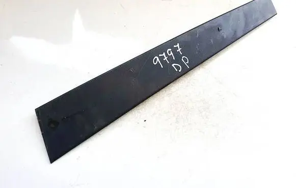 Other front door trim element