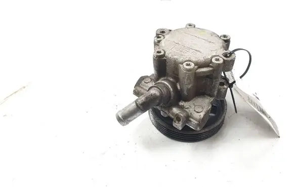 Dacia Sandero Power steering pump 7613955613