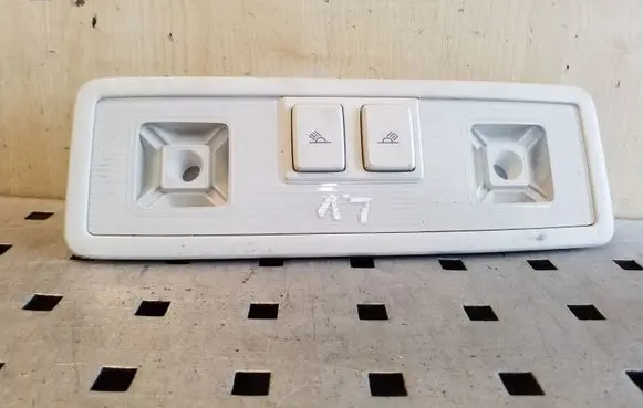Volkswagen PASSAT B8 Rear seat light 5G0947291K