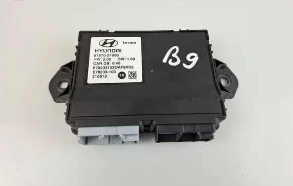 Hyundai Santa Fe Other control units/modules 81870S1600