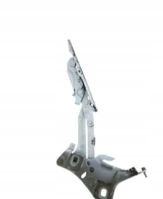 Audi A4 S4 B9 Engine bonnet/hood hinges 8W0823302E