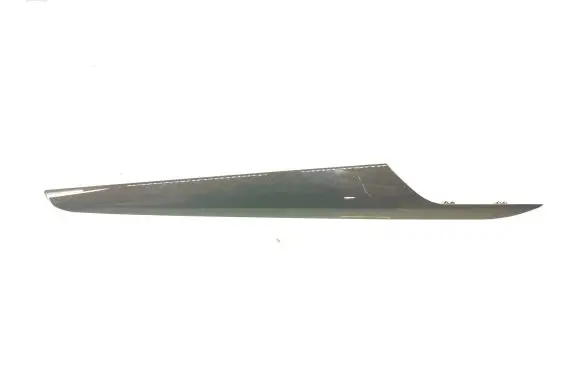 Other front door trim element