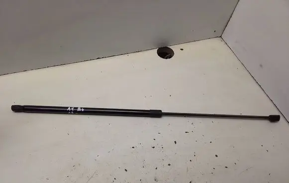 Tailgate/trunk strut/damper