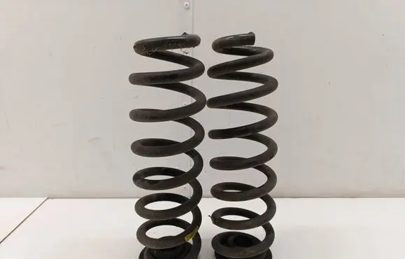 Rear coil spring