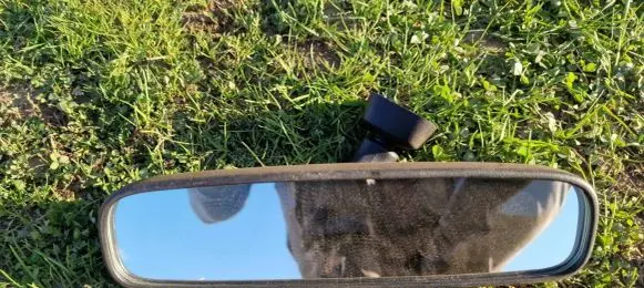 Honda CR-V Rear view mirror (interior) 022197