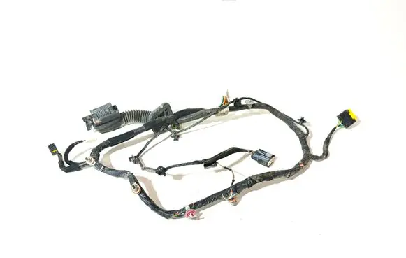 Front door wiring loom