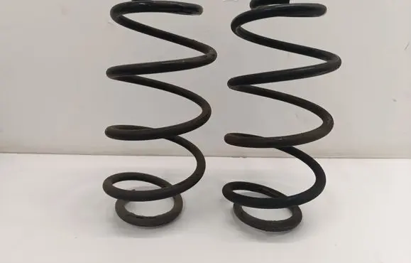 Rear coil spring