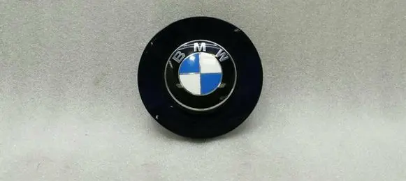 BMW Z4 E85 E86 Front fender indicator light 7033065