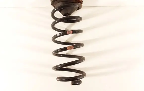 Honda Civic Rear coil spring