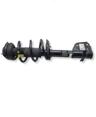 Chrysler Pacifica Front shock absorber with coil spring P68294077AE 824904012361 68294077AE