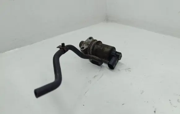Seat Ibiza III (6L) EGR valve 06A131301