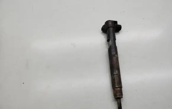 Mercedes-Benz Sprinter W906 Fuel injector A6510700587