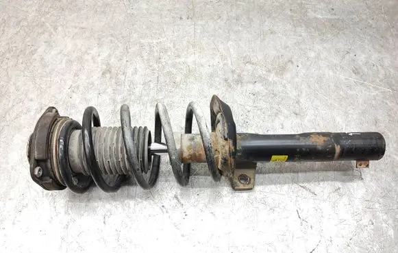 Skoda Yeti (5L) Front shock absorber with coil spring