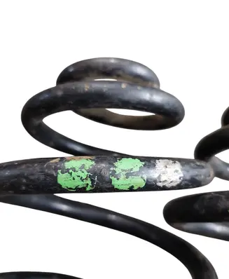 Rear coil spring