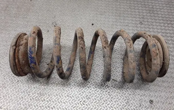 Rear coil spring