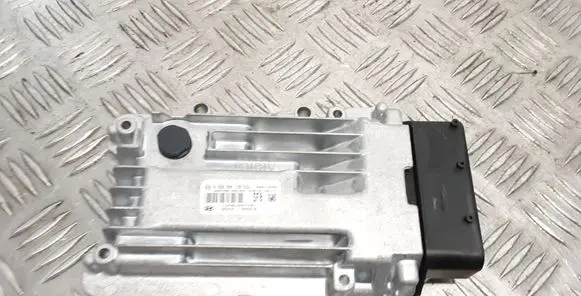 Hyundai Santa Fe Other control units/modules 0260004138