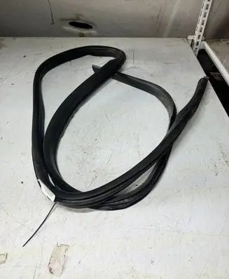 Ford Focus Front door rubber seal 