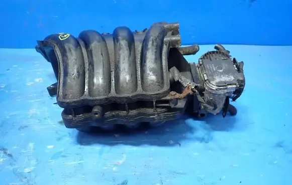 Hyundai i20 (PB PBT) Intake manifold