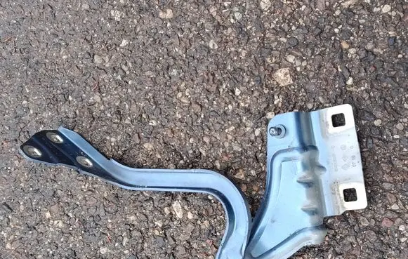 Renault Mégane Renault Sport III (IV Based) Engine bonnet/hood hinges 654012880R 0718