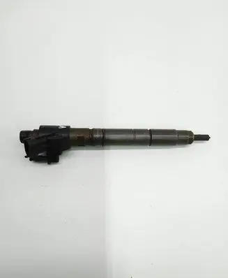 Volvo V50 Fuel injector 31303238 110418 24451117