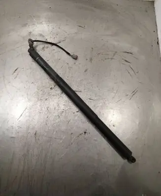 Tailgate/trunk strut/damper