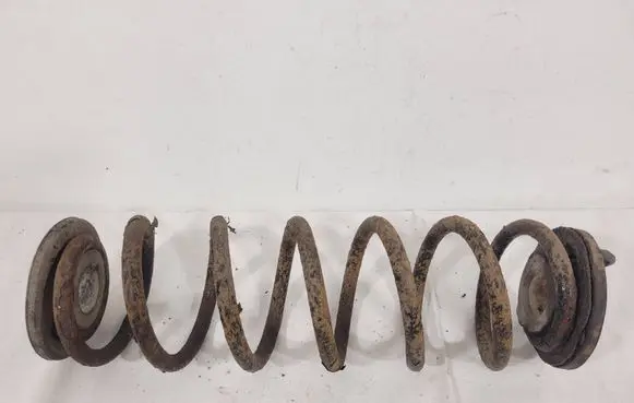 Volkswagen Golf V Rear coil spring 