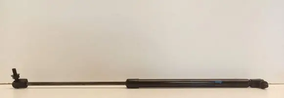 Tailgate strut