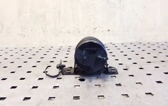 Opel Antara Vacuum air tank 