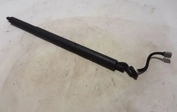 Tailgate strut