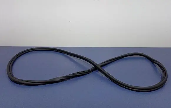 BMW X6 M Front door rubber seal 7437779