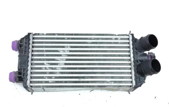 Peugeot 208 Intercooler radiator 9824742280