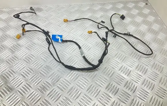 Audi A4 S4 B9 Front door wiring loom 8W0971035S