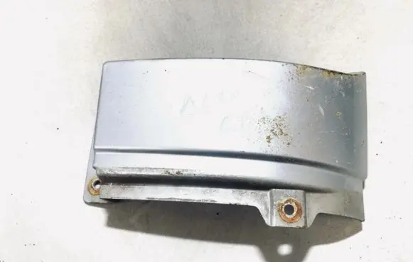 Rear/tail light trim molding