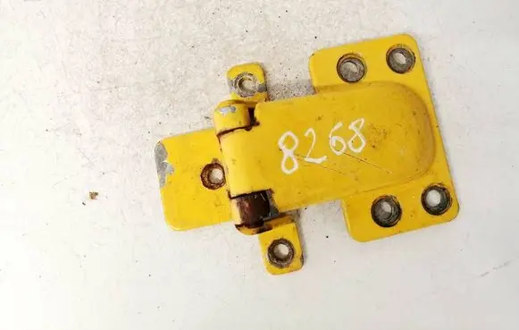 Rear door lower hinge