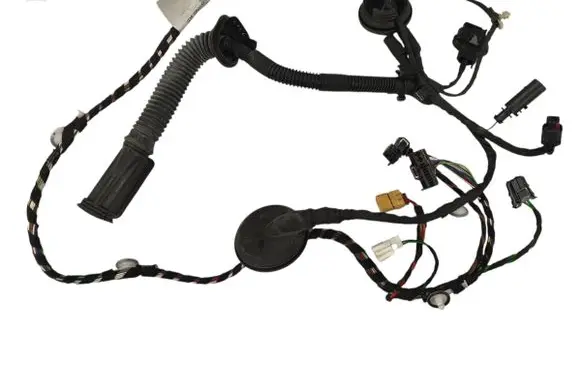 Rear door wiring loom