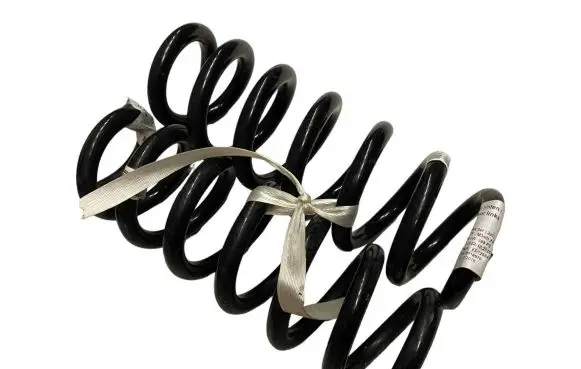 BMW 3 G20 G21 Rear coil spring 6889981 33536889981