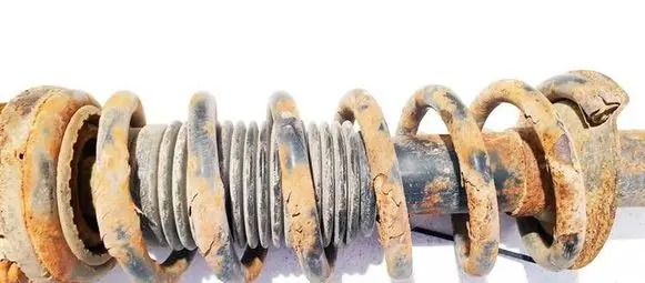 Subaru Legacy Rear coil spring