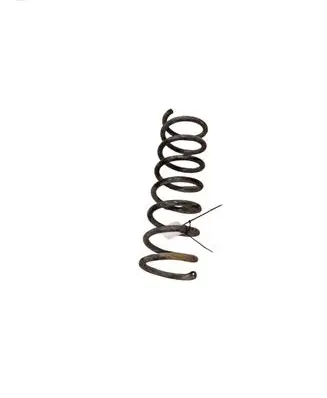 Ford Focus C-MAX Rear coil spring