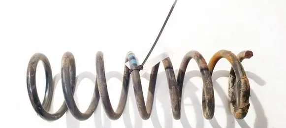 Ford C-MAX I Rear coil spring
