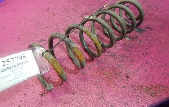 Renault Megane II Rear coil spring