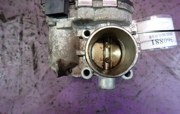 Throttle body valve