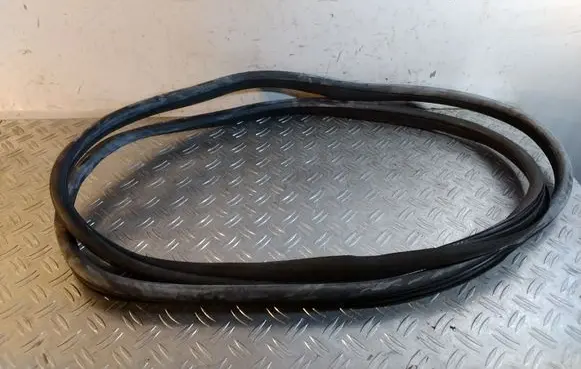 Mercedes-Benz GL X164 Front door rubber seal A1646900476