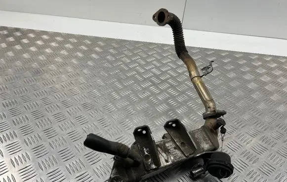 Renault Scenic III - Grand scenic III EGR valve cooler 8200719993 L0281007 H8200620695